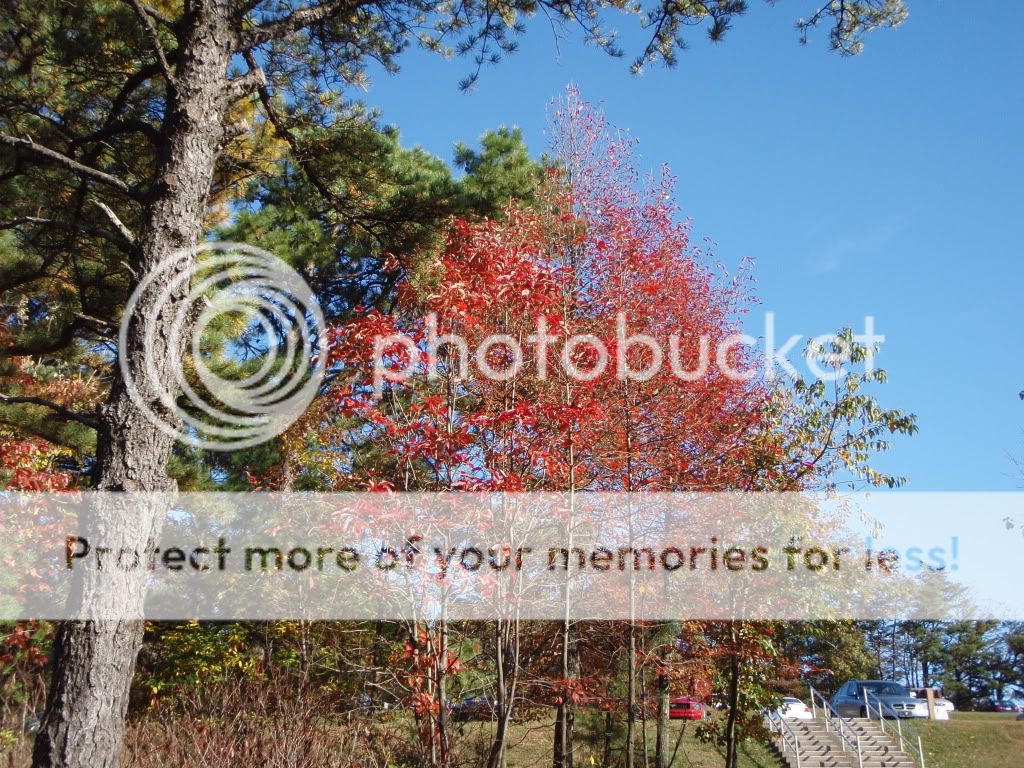 Pilot Mountain & Mt. Airy Photos (King rentals, camp, move) North